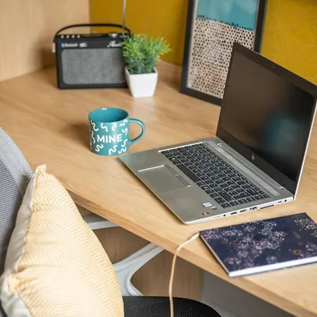 For Students Only Zinc Quarter In