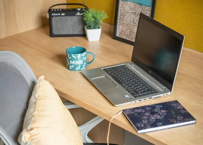 For Students Only Zinc Quarter In